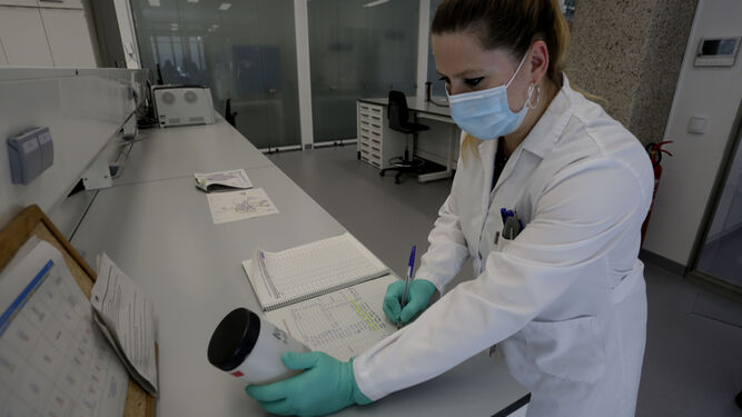 Personal del laboratorio trabaja con una muestra en el laboratorio de la estación del Carambolo.